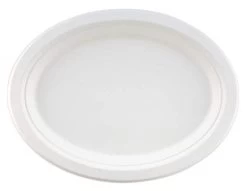 Bagasse Sugarcane Biodegradable Compostable Oval Plate 10" X 12" (125)