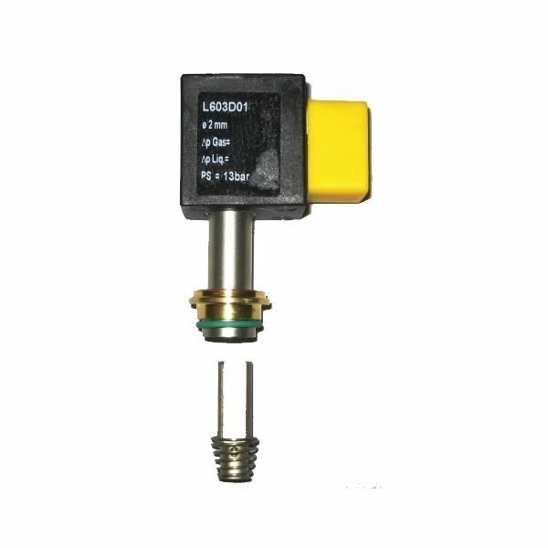 Rancilio Sirai Two-way Solenoid With Nucleous Kit - 220/240V (Special Order Item) 1 Rancilio Sirai Two-way Solenoid With Nucleous Kit - 220/240V (Special Order Item)