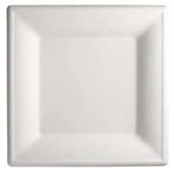Bagasse Sugarcane Biodegradable Compostable Square Plate 15cm (125)