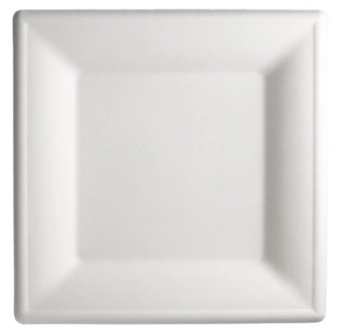 Bagasse Sugarcane Biodegradable Compostable Square Plate 20cm (125) 1 Bagasse Sugarcane Biodegradable Compostable Square Plate 20cm (125)